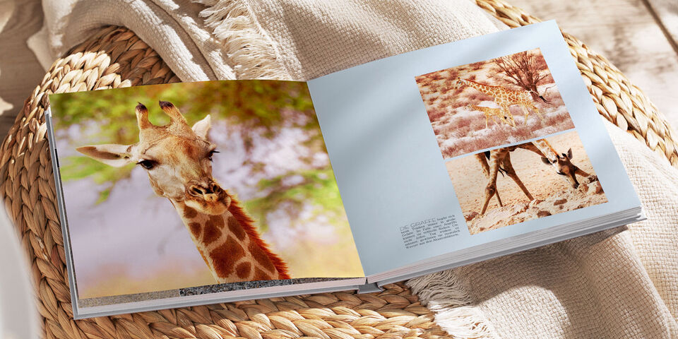 Ein liebevoll gestaltetes Fotobuch mit Giraffenbildern, das auf einem Tisch liegt, umgeben von Natur.