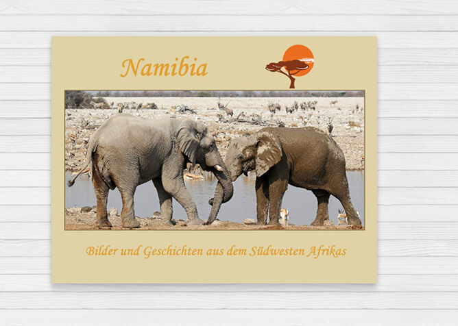 Zwei Elefanten in Namibia trinken Wasser an einem Teich