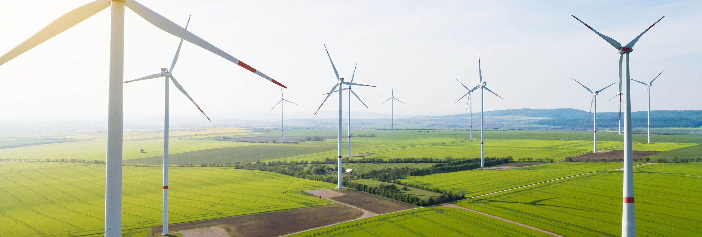 Breit gefächerte Sicht auf große Windkraftanlagen in einem weiten, grünen Feld