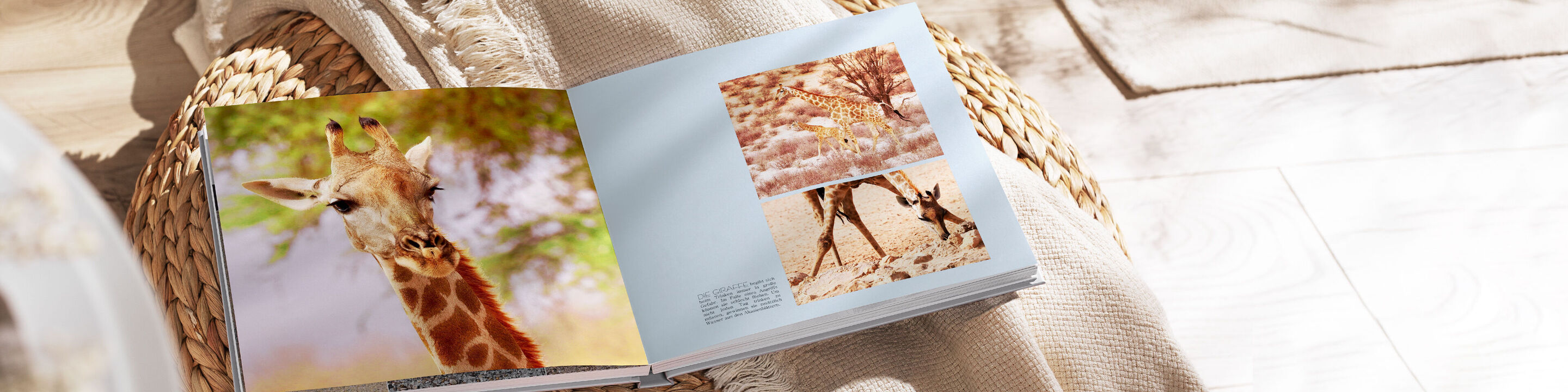 Ein großes, offenes Fotobuch zeigt liebevolle Schnappschüsse von Giraffen. Es liegt auf einem hellen Untergrund.