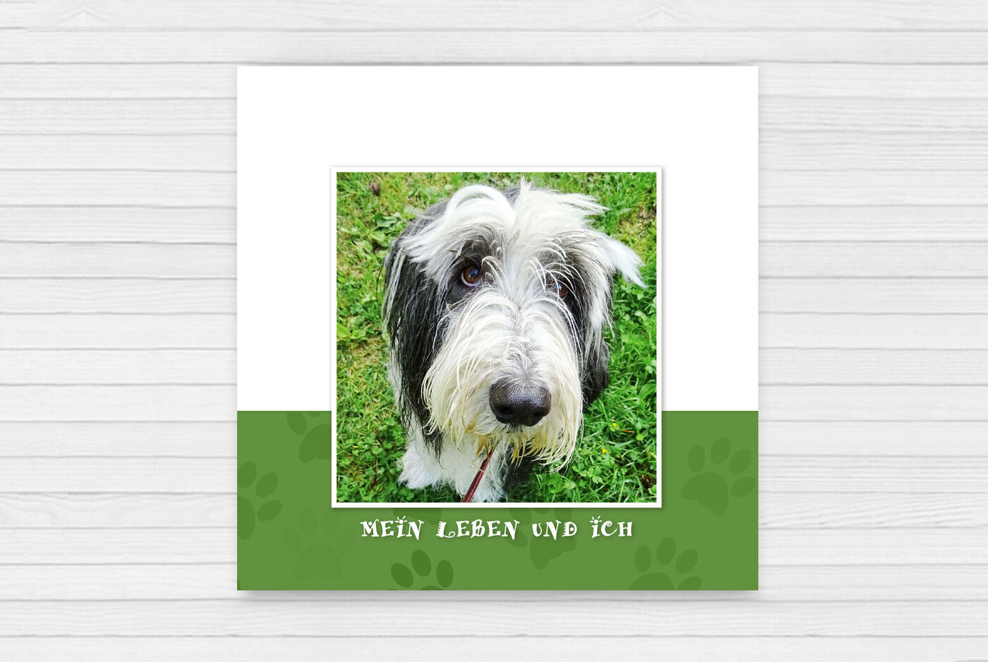 Ein Hund mit weißem und schwarzem Fell, sitzt auf grünem Gras. Der Hund schaut freundlich in die Kamera. Auf dem Bild steht der Text: "Mein Leben und ich".